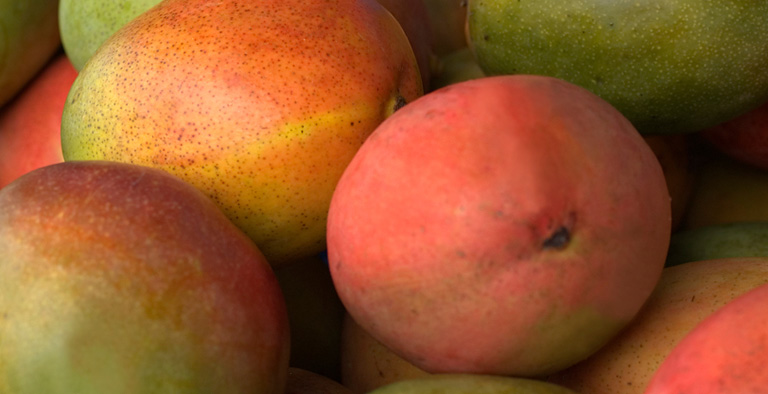 Vijf redenen waarom je fruit moet eten