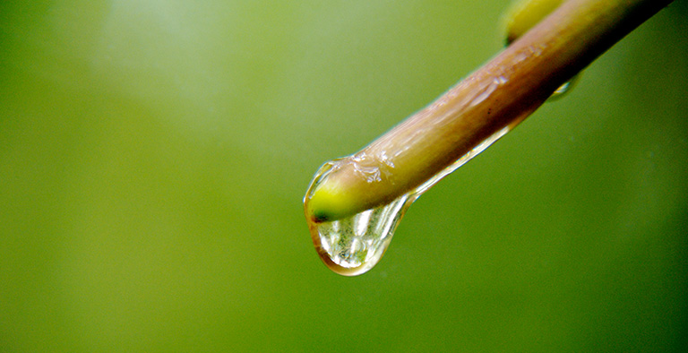 Afvallen? Voorkom insulineresistentie