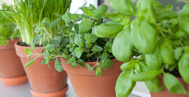 Natuurlijk lekker met verse kruiden