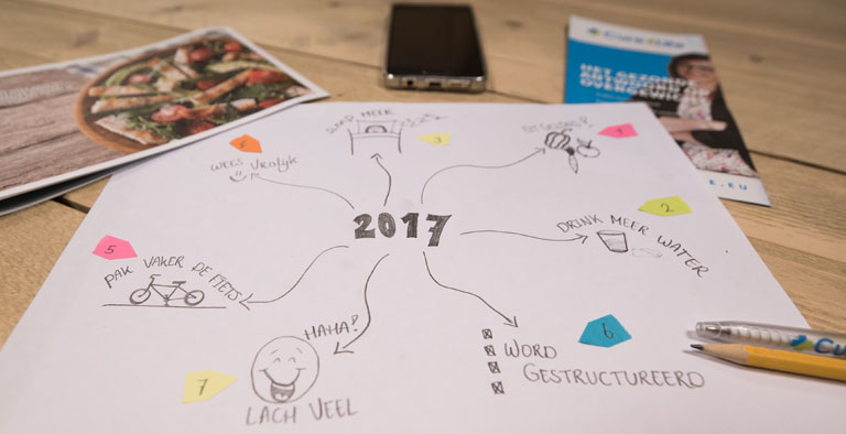 Goedevoornemensvisualiseren