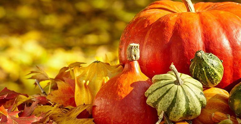 Pompoen een echte herfstgroente