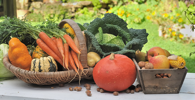 6-redenen-om-te-kiezen-voor-seizoensproducten